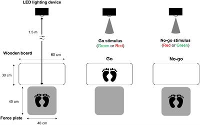 Color-induced cognitive conflicts affect muscle activity prior to gait initiation in the Go/No-go task